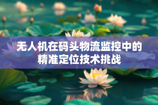 无人机在码头物流监控中的精准定位技术挑战