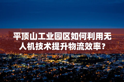 平顶山工业园区如何利用无人机技术提升物流效率？