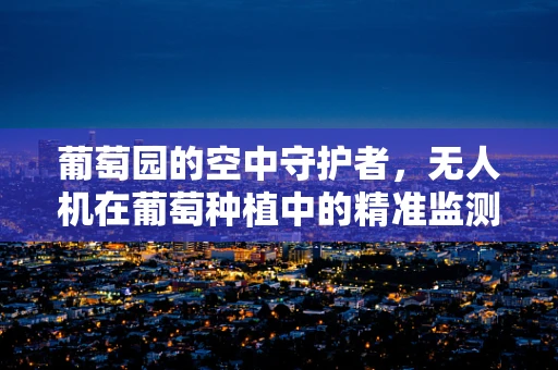 葡萄园的空中守护者，无人机在葡萄种植中的精准监测挑战