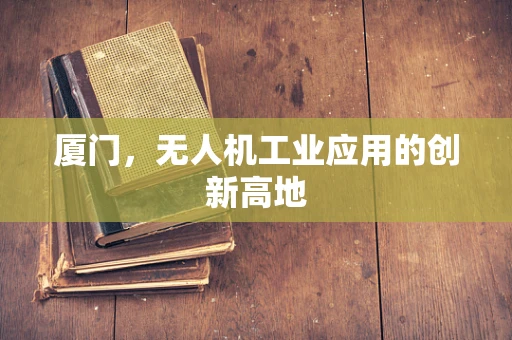 厦门，无人机工业应用的创新高地