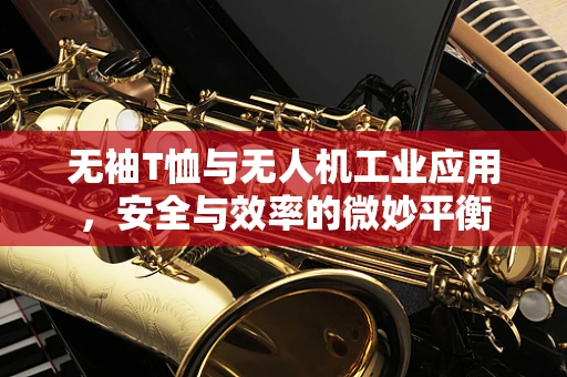 无袖T恤与无人机工业应用，安全与效率的微妙平衡