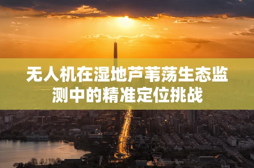 无人机在湿地芦苇荡生态监测中的精准定位挑战