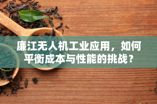 廉江无人机工业应用，如何平衡成本与性能的挑战？