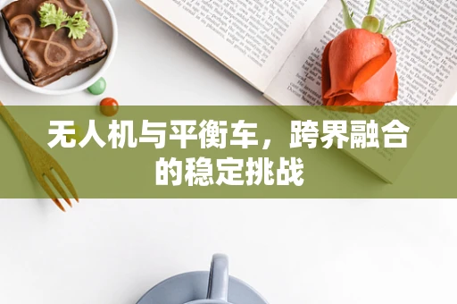 无人机与平衡车，跨界融合的稳定挑战