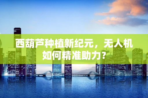 西葫芦种植新纪元，无人机如何精准助力？