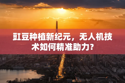 豇豆种植新纪元，无人机技术如何精准助力？