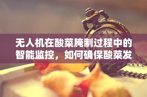 无人机在酸菜腌制过程中的智能监控，如何确保酸菜发酵的均匀性？