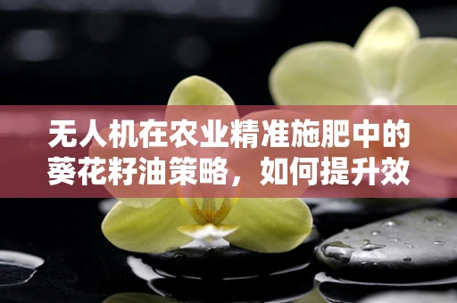 无人机在农业精准施肥中的葵花籽油策略，如何提升效率与降低成本？