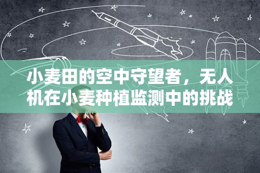 小麦田的空中守望者，无人机在小麦种植监测中的挑战与机遇？