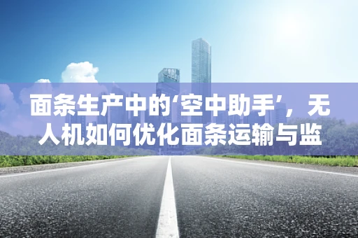 面条生产中的‘空中助手’，无人机如何优化面条运输与监控？
