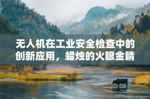 无人机在工业安全检查中的创新应用，蜡烛的火眼金睛