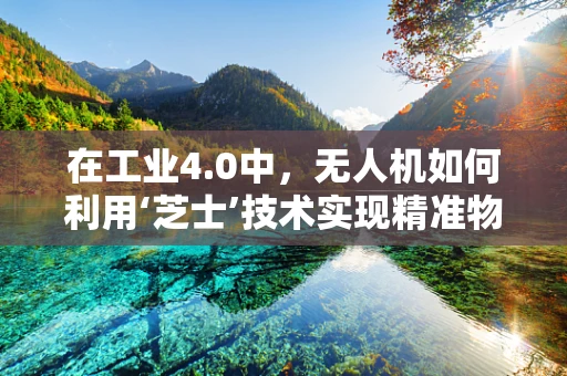 在工业4.0中，无人机如何利用‘芝士’技术实现精准物流？