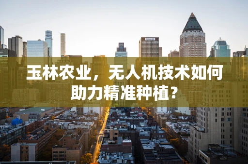 玉林农业，无人机技术如何助力精准种植？