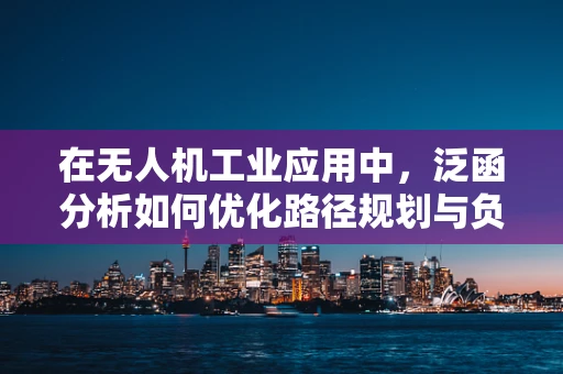 在无人机工业应用中，泛函分析如何优化路径规划与负载分配？