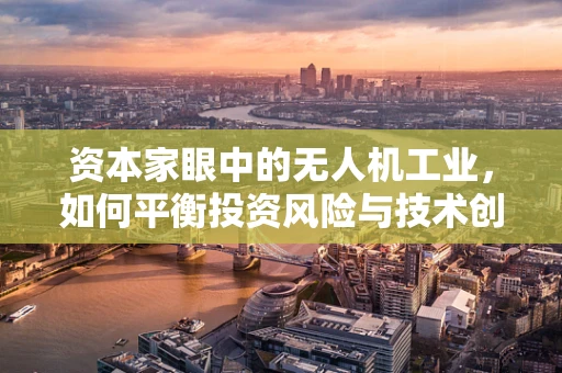 资本家眼中的无人机工业，如何平衡投资风险与技术创新？
