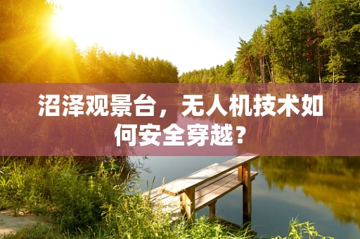 沼泽观景台，无人机技术如何安全穿越？