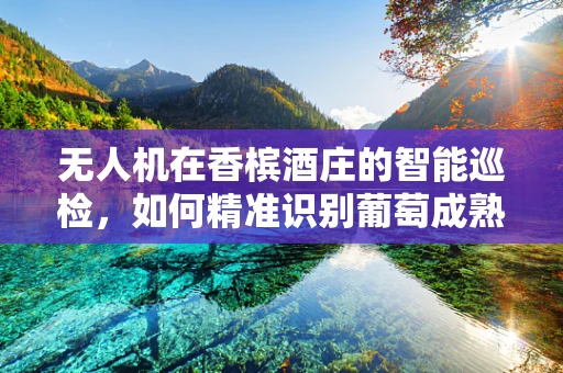无人机在香槟酒庄的智能巡检，如何精准识别葡萄成熟度？