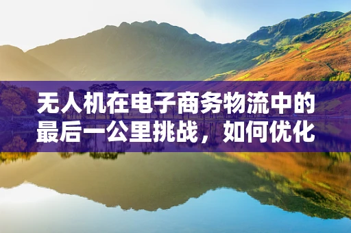 无人机在电子商务物流中的最后一公里挑战，如何优化配送效率？