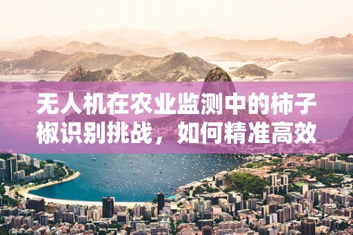 无人机在农业监测中的柿子椒识别挑战，如何精准高效？