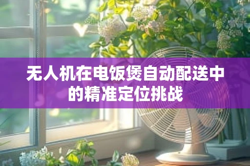 无人机在电饭煲自动配送中的精准定位挑战