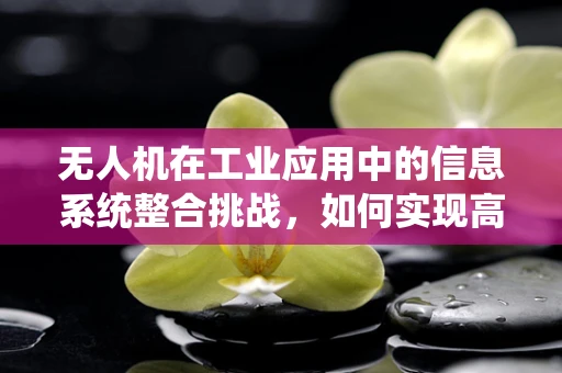 无人机在工业应用中的信息系统整合挑战，如何实现高效数据传输与安全保障？