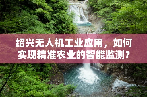 绍兴无人机工业应用，如何实现精准农业的智能监测？