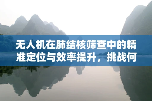 无人机在肺结核筛查中的精准定位与效率提升，挑战何在？