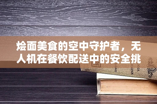 烩面美食的空中守护者，无人机在餐饮配送中的安全挑战与解决方案