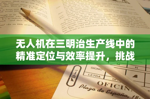 无人机在三明治生产线中的精准定位与效率提升，挑战与解决方案