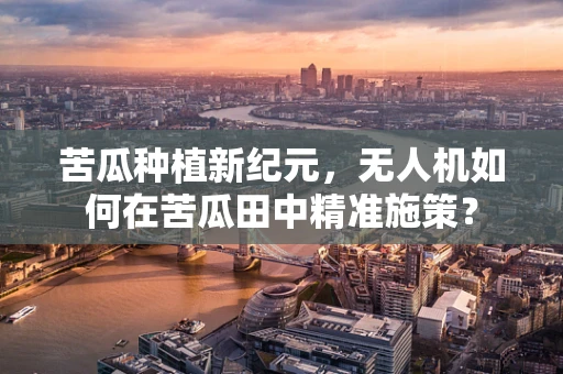 苦瓜种植新纪元，无人机如何在苦瓜田中精准施策？