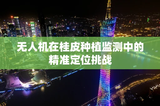 无人机在桂皮种植监测中的精准定位挑战