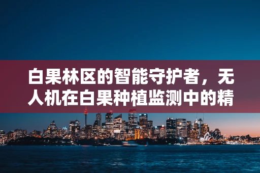 白果林区的智能守护者，无人机在白果种植监测中的精准应用挑战