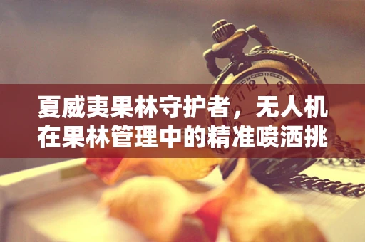 夏威夷果林守护者，无人机在果林管理中的精准喷洒挑战
