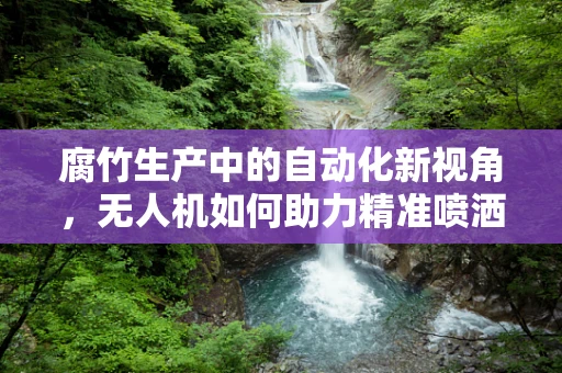 腐竹生产中的自动化新视角，无人机如何助力精准喷洒？