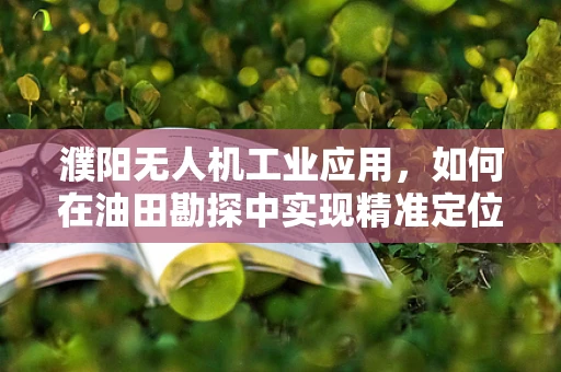 濮阳无人机工业应用，如何在油田勘探中实现精准定位与高效监测？