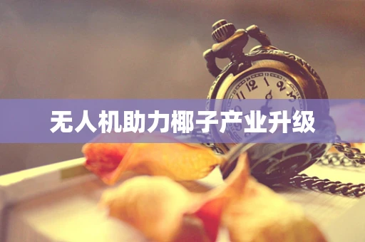 无人机助力椰子产业升级