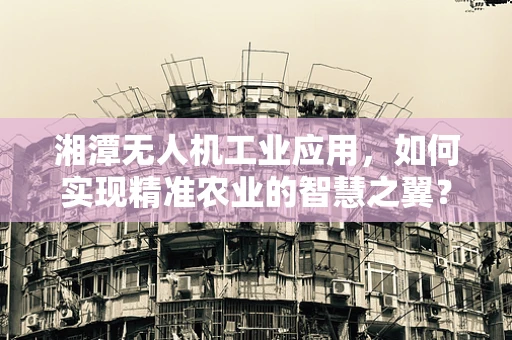 湘潭无人机工业应用，如何实现精准农业的智慧之翼？