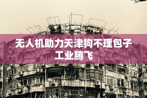 无人机助力天津狗不理包子工业腾飞