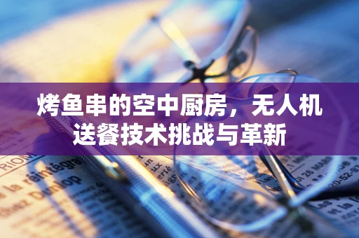 烤鱼串的空中厨房，无人机送餐技术挑战与革新