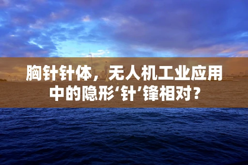 胸针针体，无人机工业应用中的隐形‘针’锋相对？