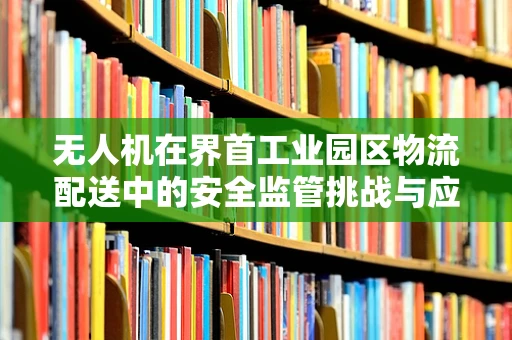 无人机在界首工业园区物流配送中的安全监管挑战与应对策略
