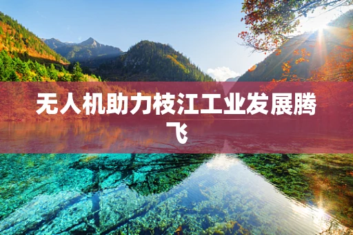 无人机助力枝江工业发展腾飞