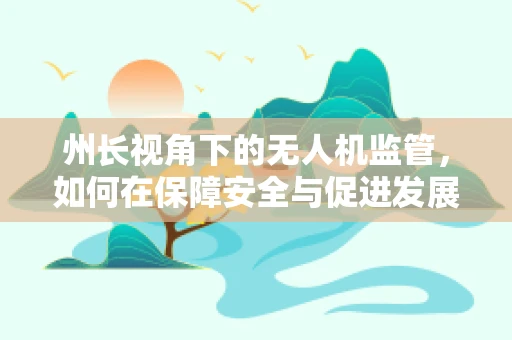 州长视角下的无人机监管，如何在保障安全与促进发展间找到平衡？