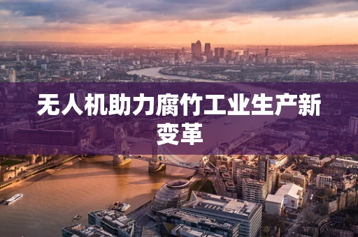 无人机助力腐竹工业生产新变革