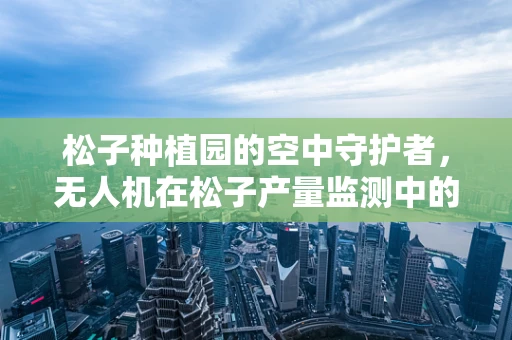 松子种植园的空中守护者，无人机在松子产量监测中的技术挑战