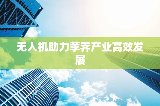无人机助力荸荠产业高效发展