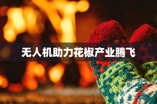 无人机助力花椒产业腾飞
