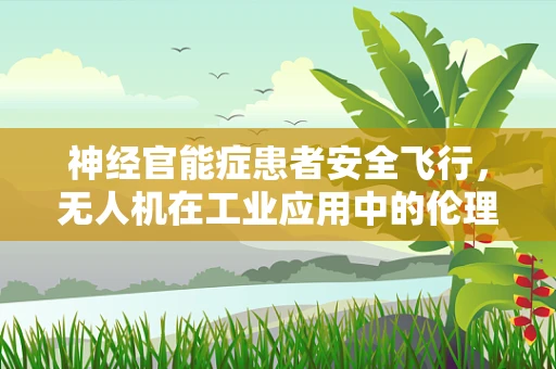 神经官能症患者安全飞行，无人机在工业应用中的伦理与安全考量