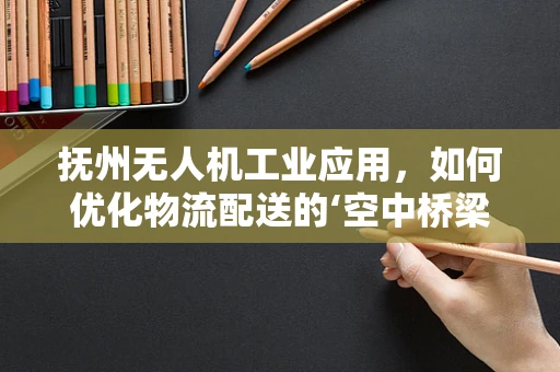 抚州无人机工业应用，如何优化物流配送的‘空中桥梁’？