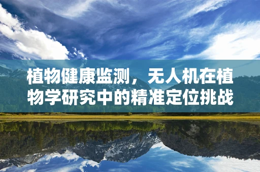 植物健康监测，无人机在植物学研究中的精准定位挑战